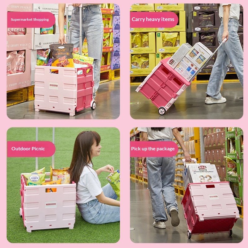 Tragbarer Faltbarer Einkaufstr – Outdoor Camping Trolley Bewertung und Preis