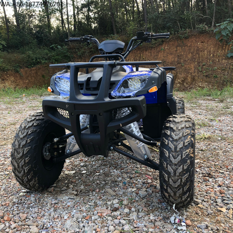 Elektrisches 4-Sitzer 4WD 4-Ta – Camping Quad Bewertung und Preis