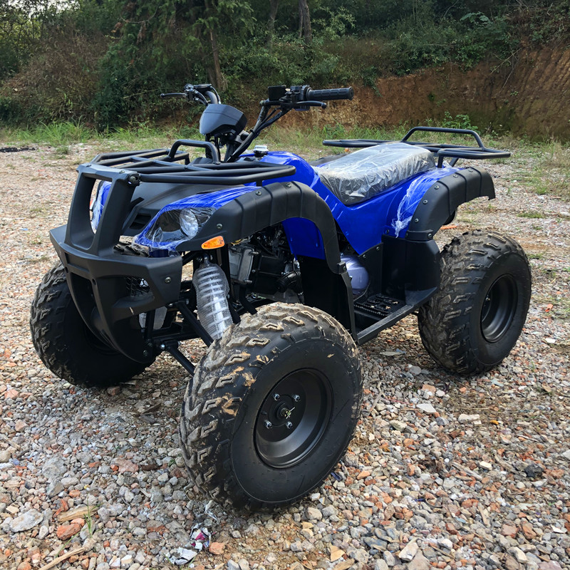 Elektrisches 4-Sitzer 4WD 4-Ta – Camping Quad Bewertung und Preis