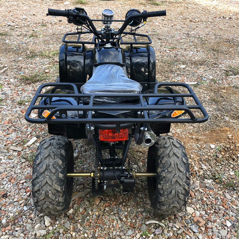 Elektrisches 4-Sitzer 4WD 4-Ta – Camping Quad Bewertung und Preis
