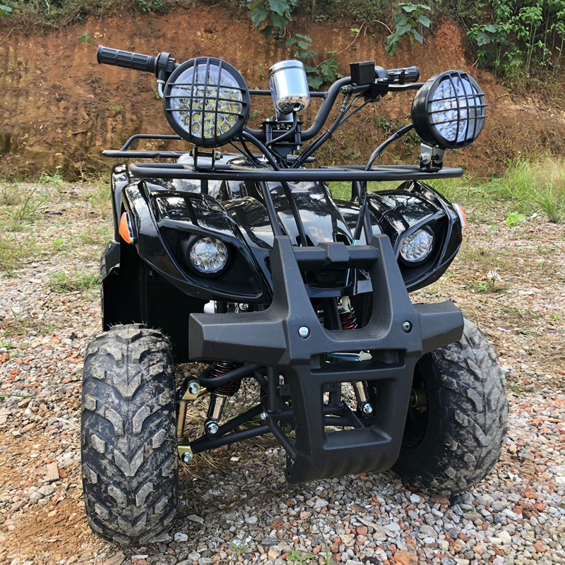 Elektrisches 4-Sitzer 4WD 4-Ta – Camping Quad Bewertung und Preis